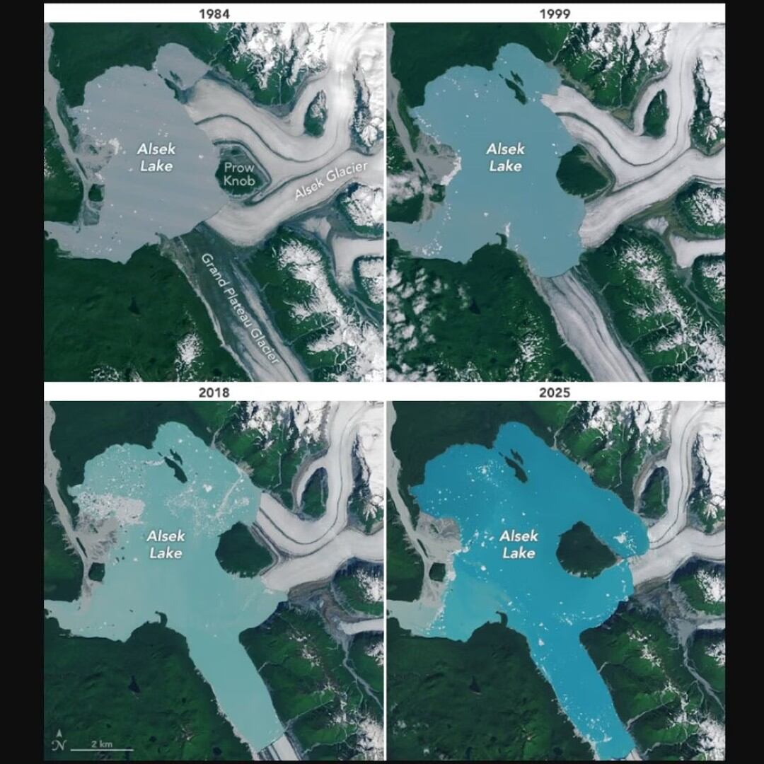 Aparición de una isla en el lago donde desemboca el glaciar Alsek.