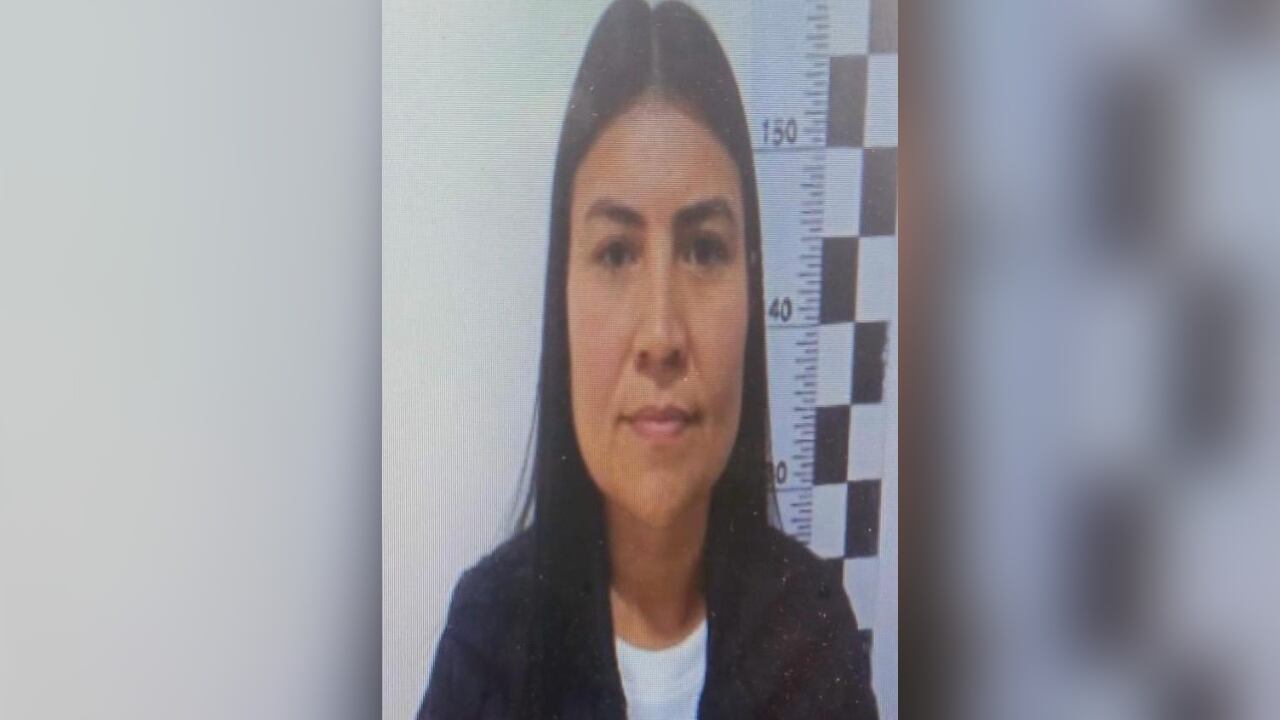 Congresista Karen Manrique.