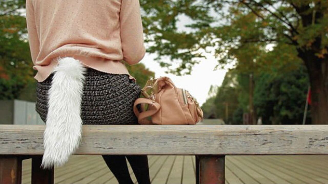 Tailly, la cola que se mueve con el nivel de excitación