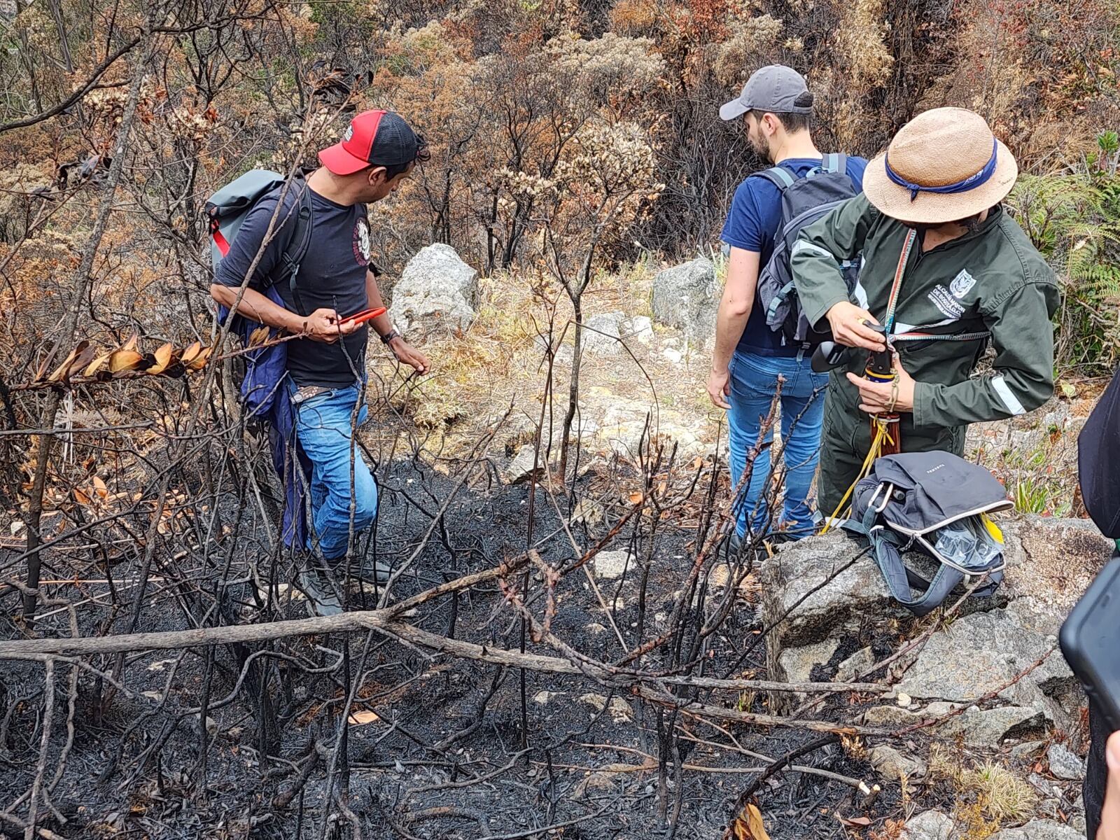 Ya hay una ruta trazada para el control de especies invasoras y exóticas propagadoras de fuego