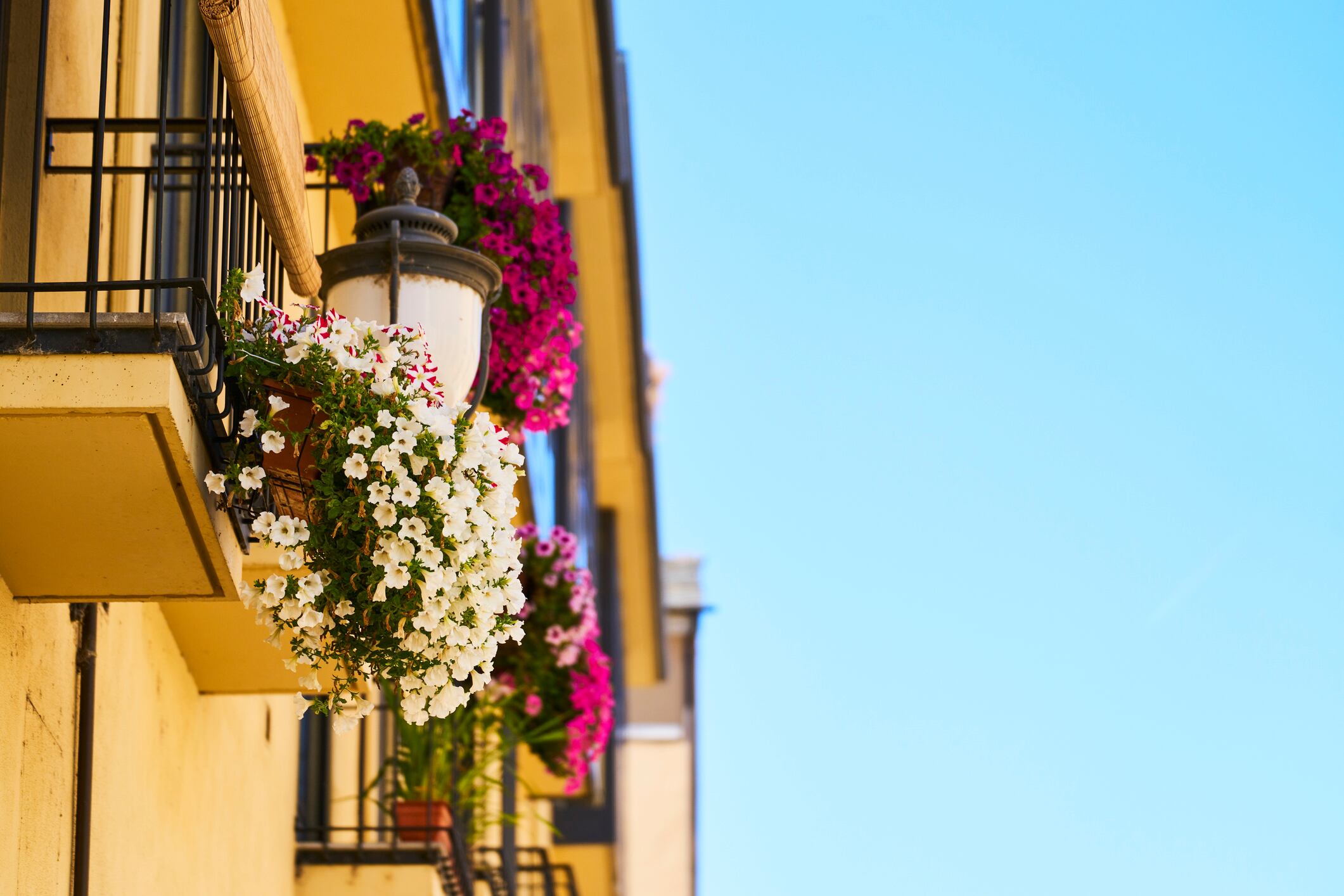 Balcones con flores.