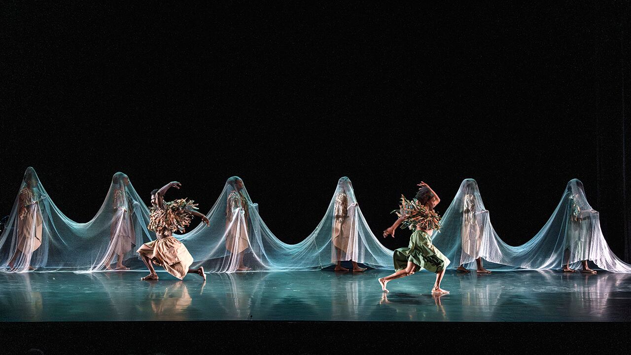 "Las comunidades negras e indígenas lo han dicho siempre: somos parte de la naturaleza, y no dueños de ella".