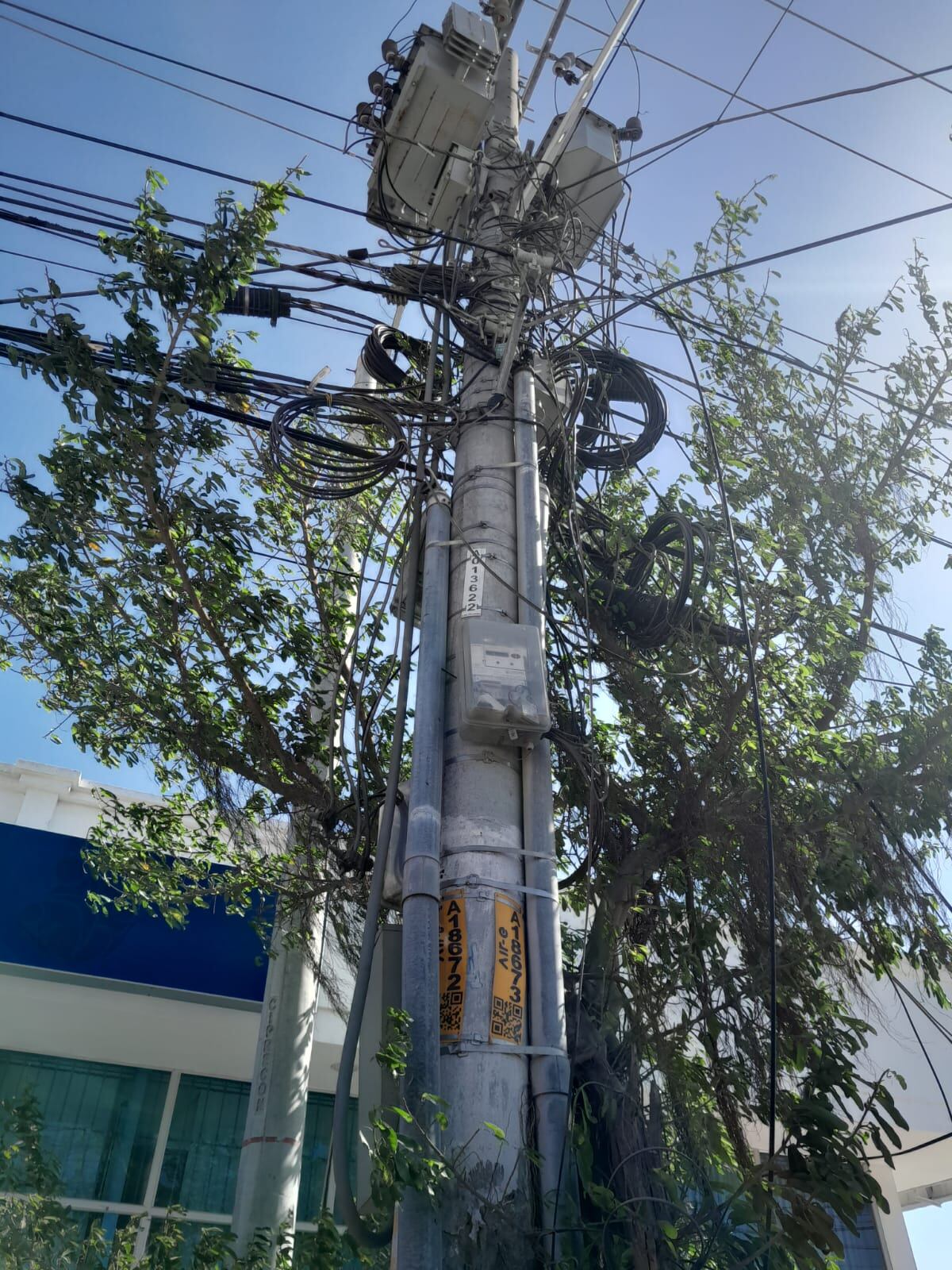 Piden no usar serpentinas metalizadas que terminan enredadas en las líneas eléctricas causando afectaciones