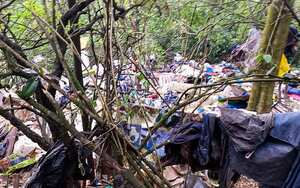 ¿Dónde está Acacio? Qué se sabe del cambuche con perros muertos encontrado en Bogotá