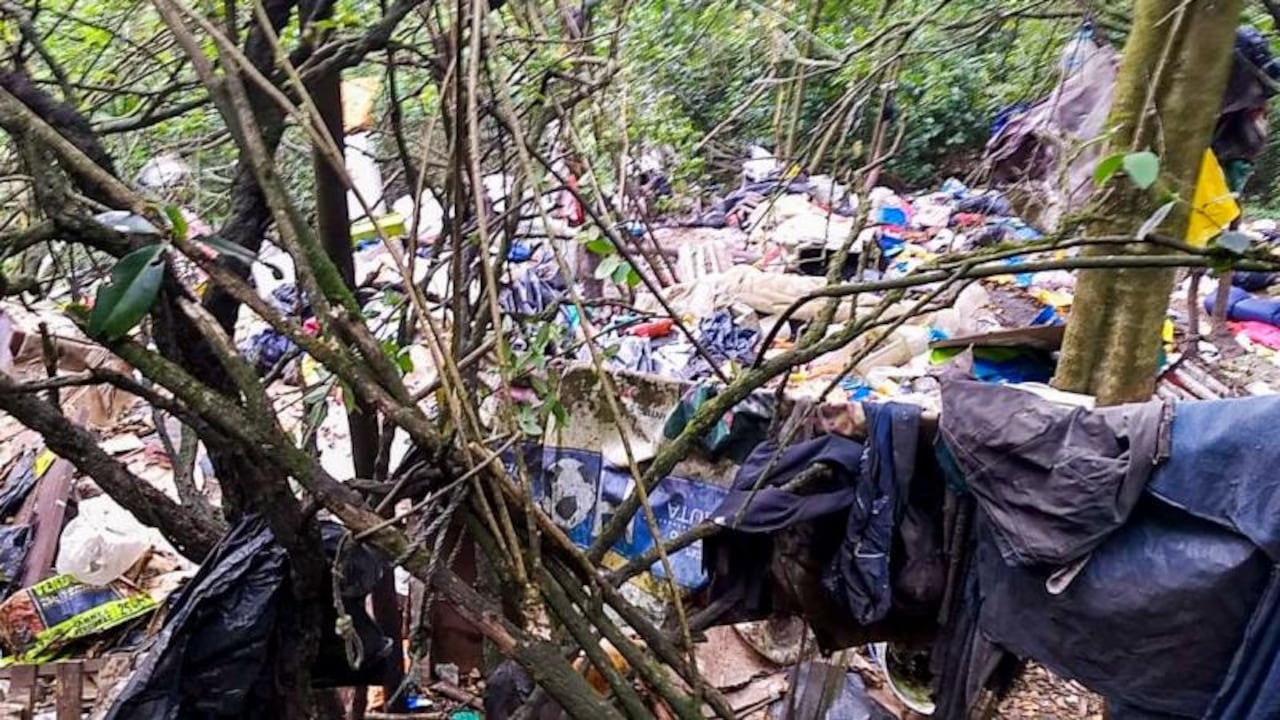 ¿Dónde está Acacio? Qué se sabe del cambuche con perros muertos encontrado en Bogotá