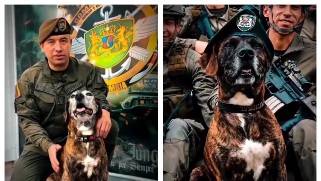 Maraña hace parte de los Comandos Jungla de la Policía.