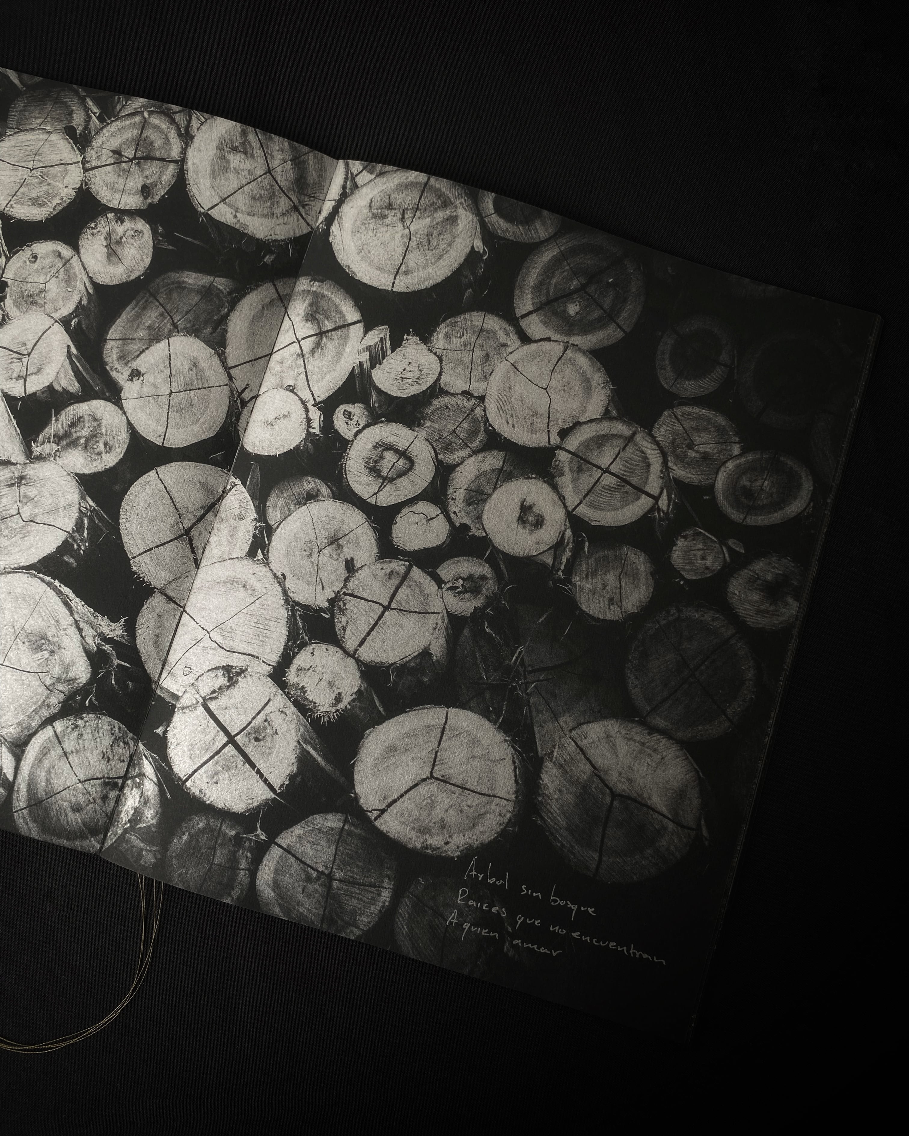 'Desierto Verde', de Víctor Galeano, autoeditado por Baudó AP e impreso en Matiz Taller Editorial.