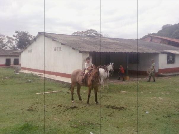 Cadete Santiago Ortega, campeón de salto equino cinco estrellas