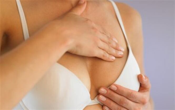 Las mamas constan de tres partes principales: lobulillos, conductos y tejido conectivo.