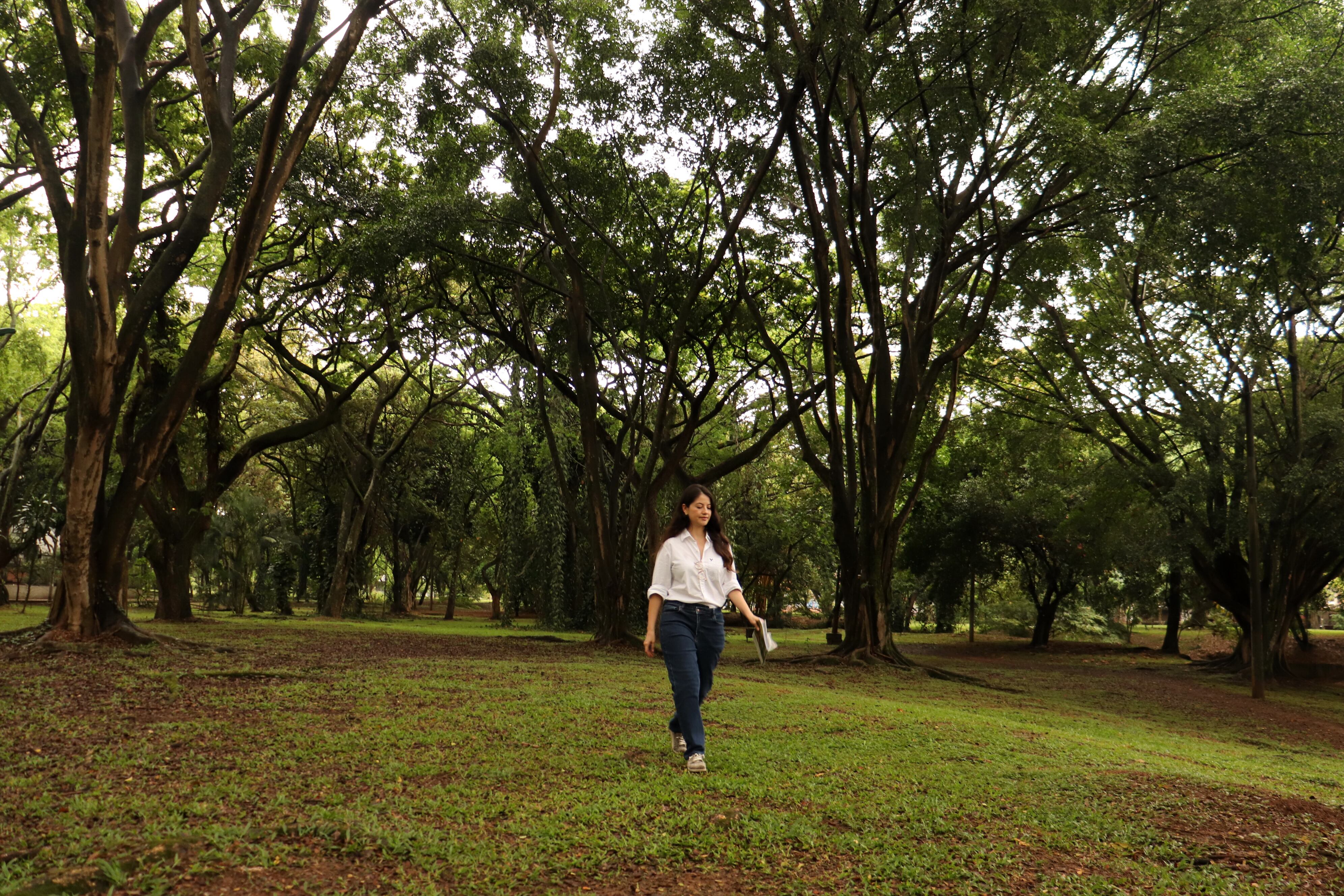 Cali tiene una de las redes de bosques urbanos mas extensa de américa latina.
