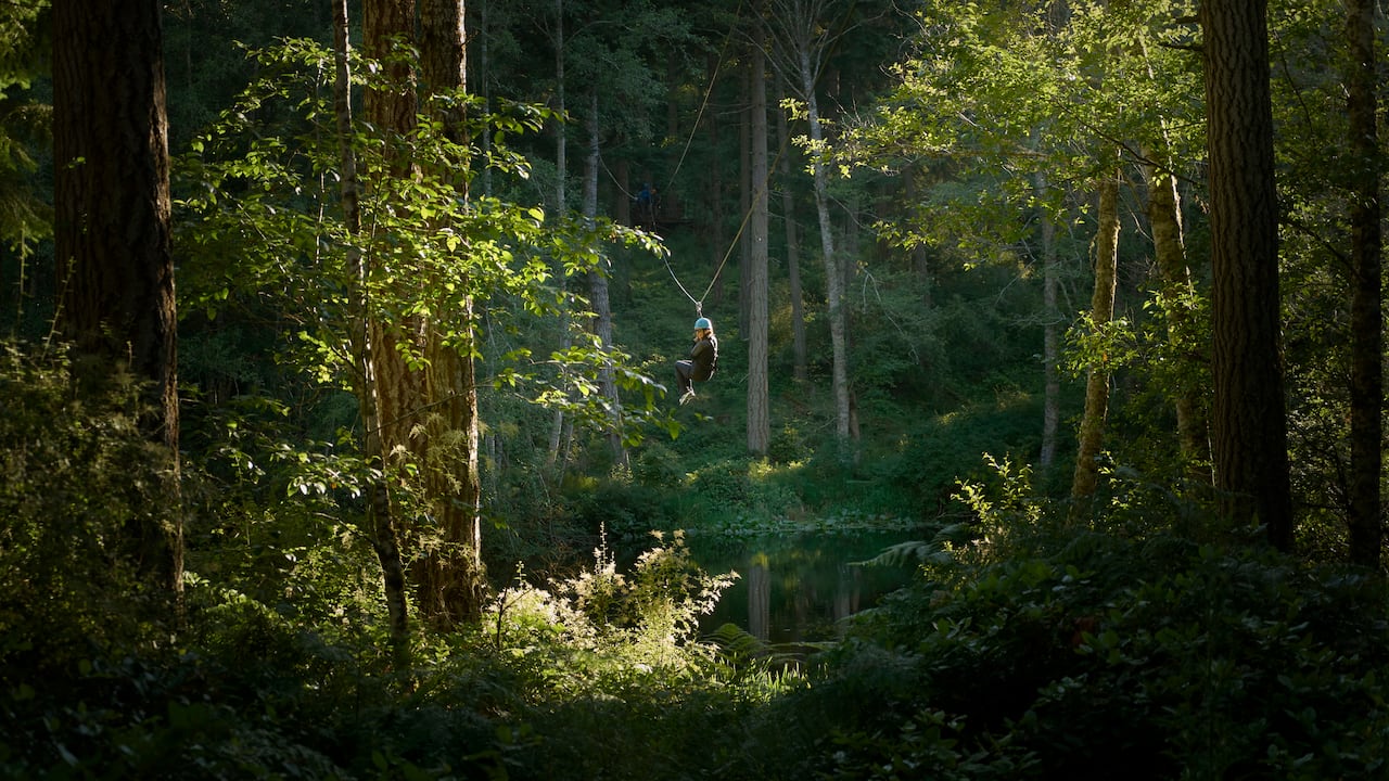 En una primera revisión las autoridades encontraron que el lugar no tenía al día los papeles para poder operar - Foto referencia.