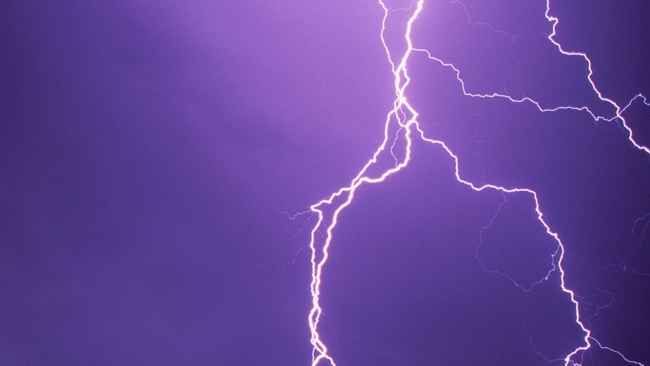 Imagen de referencia, no corresponde al caso en mención.