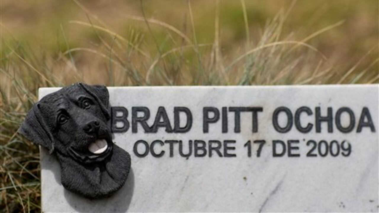 La tumba de Brad Pitt Ochoa en el cementerio de mascotas de La Calera es una de las más llamativas de Funeravet. Según el director de Funeravet, Henry Cortez, la mayoría de los dolientes son adultos mayores o personas que viven solas.