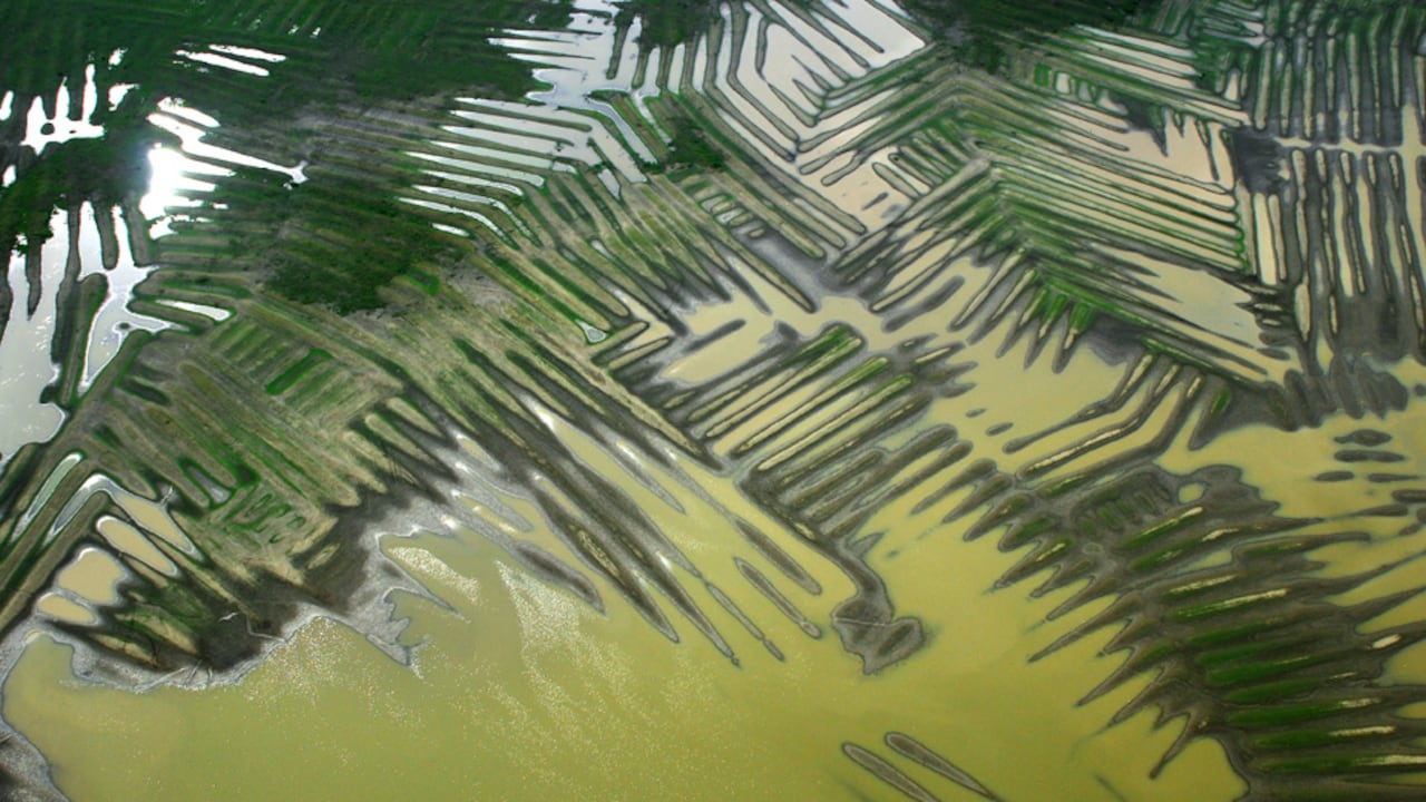Los canales y los campos elevados de La Mojana ofrecen esperanza para las comunidades colombianas que afrontan hoy una crisis de gestión del agua.