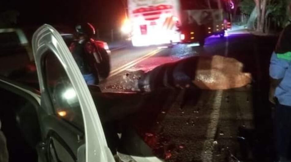 Trágico accidente con un hipopótamo en Antioquia.