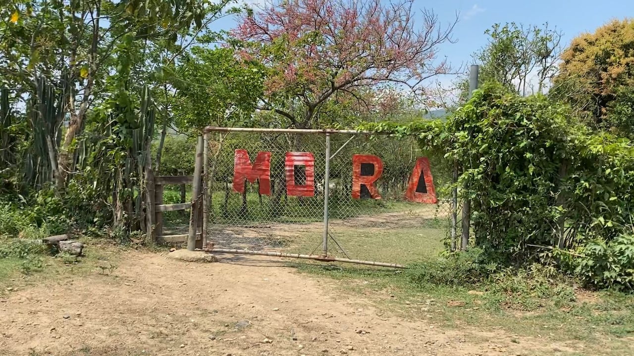Finca Mora - inmediaciones al Oleoducto Caño Limón-Coveñas, zona donde fueron atacados los militares