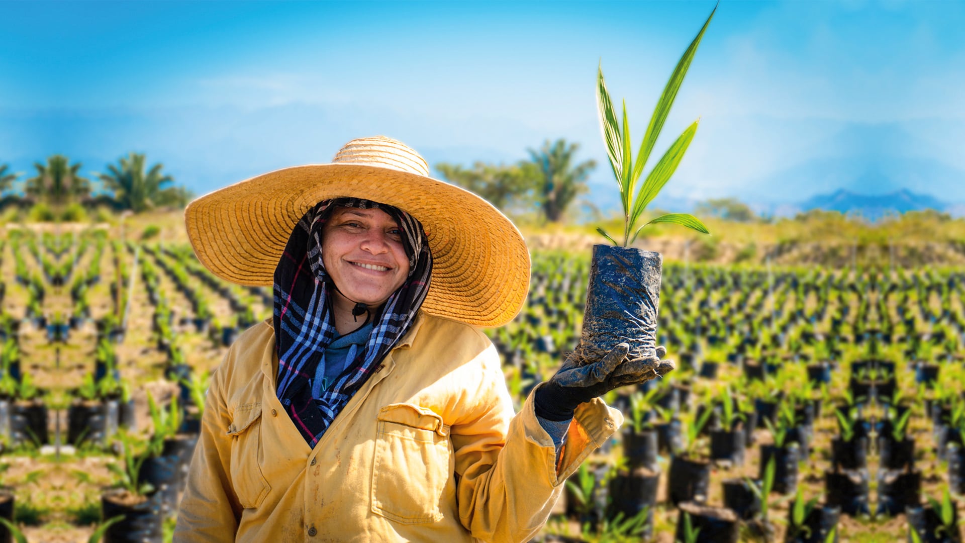 especial diversidad e inclusión, Fedepalma, Mejor Colombia