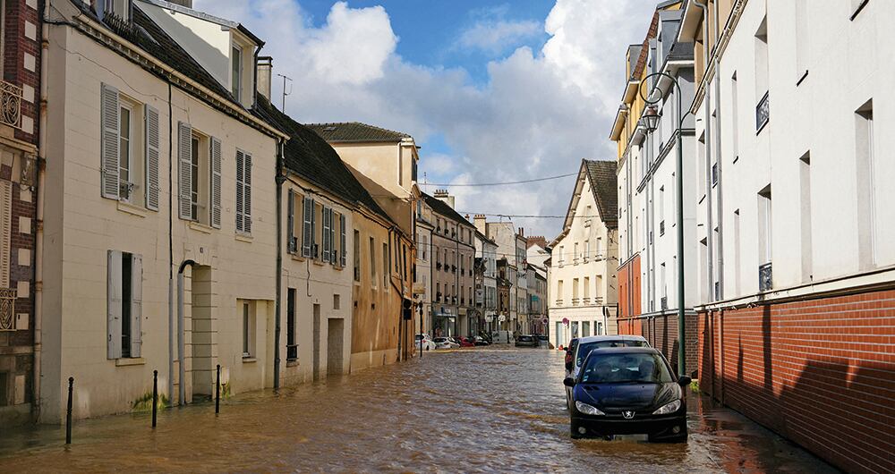 Ganadores más que merecidos_11
