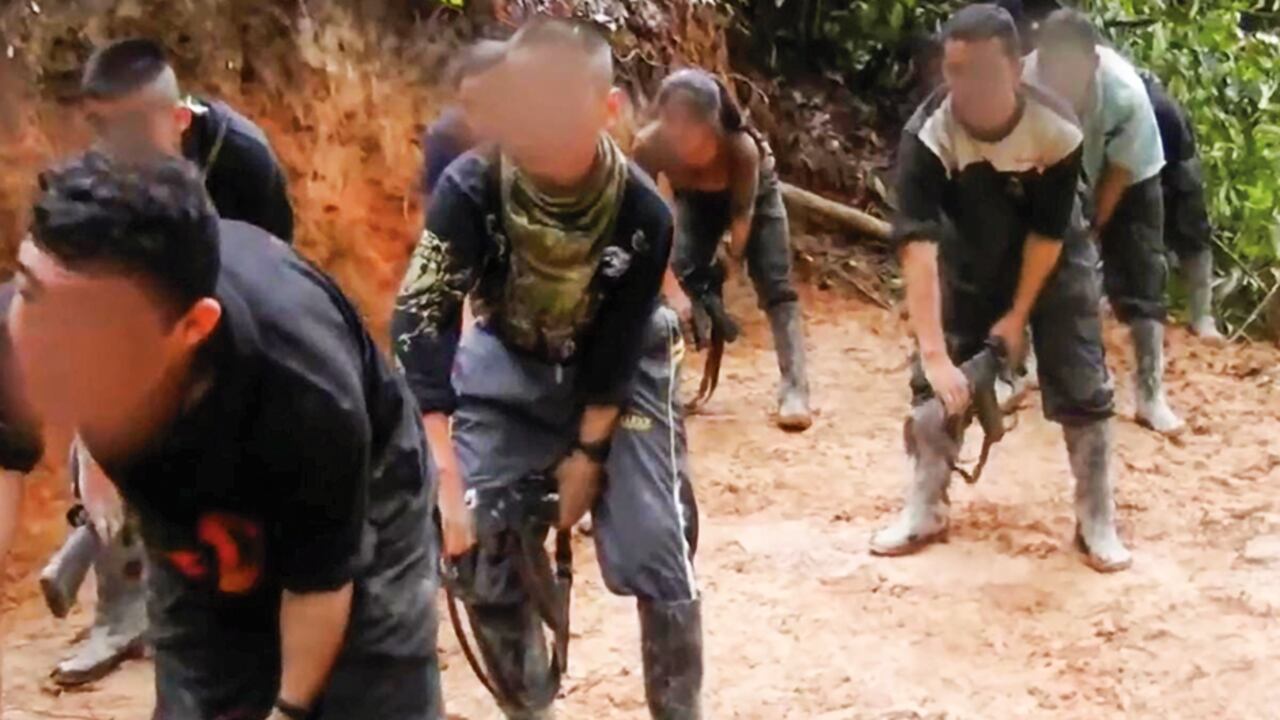 Las disidencias de las Farc de Iván Mordisco, que formó parte del proyecto de paz total del Gobierno nacional, es uno de los grupos ilegales que más reclutan menores de edad en el país.