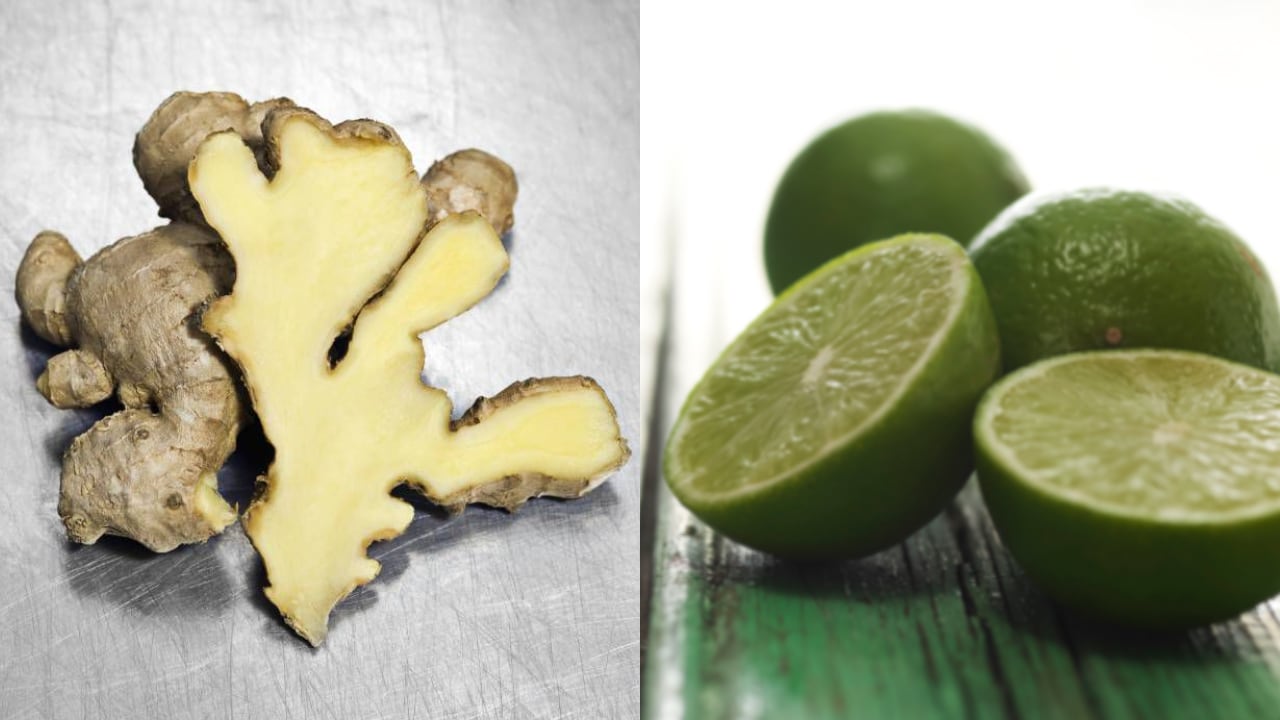 Las propiedades de estos productos beneficiarán al sistema, la piel, entre otros.