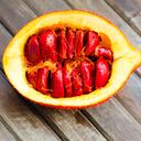 Cochinchin Gourd Fruit (Spring Bitter Cucumber, Baby Jackfruit Spiny Bitter Gourd, Sweet Gourd) on wood background.