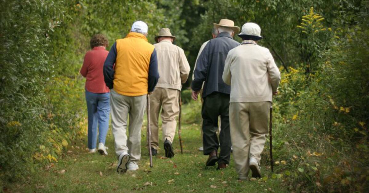 Los pensionados que reciben mesadas de más de $ 10 millones mensuales serían responsables de pagar impuesto de renta.