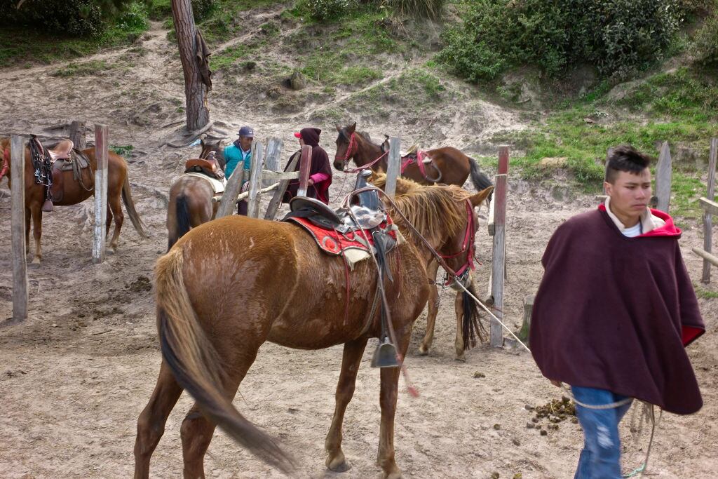 Paseos a caballo que se hacían en 2020 en Playa Blanca. Lago de Tota, el lago alpino más grande de Colombia, en Boyacá (Foto de Kike Calvo/Universal Images Group vía Getty Images)