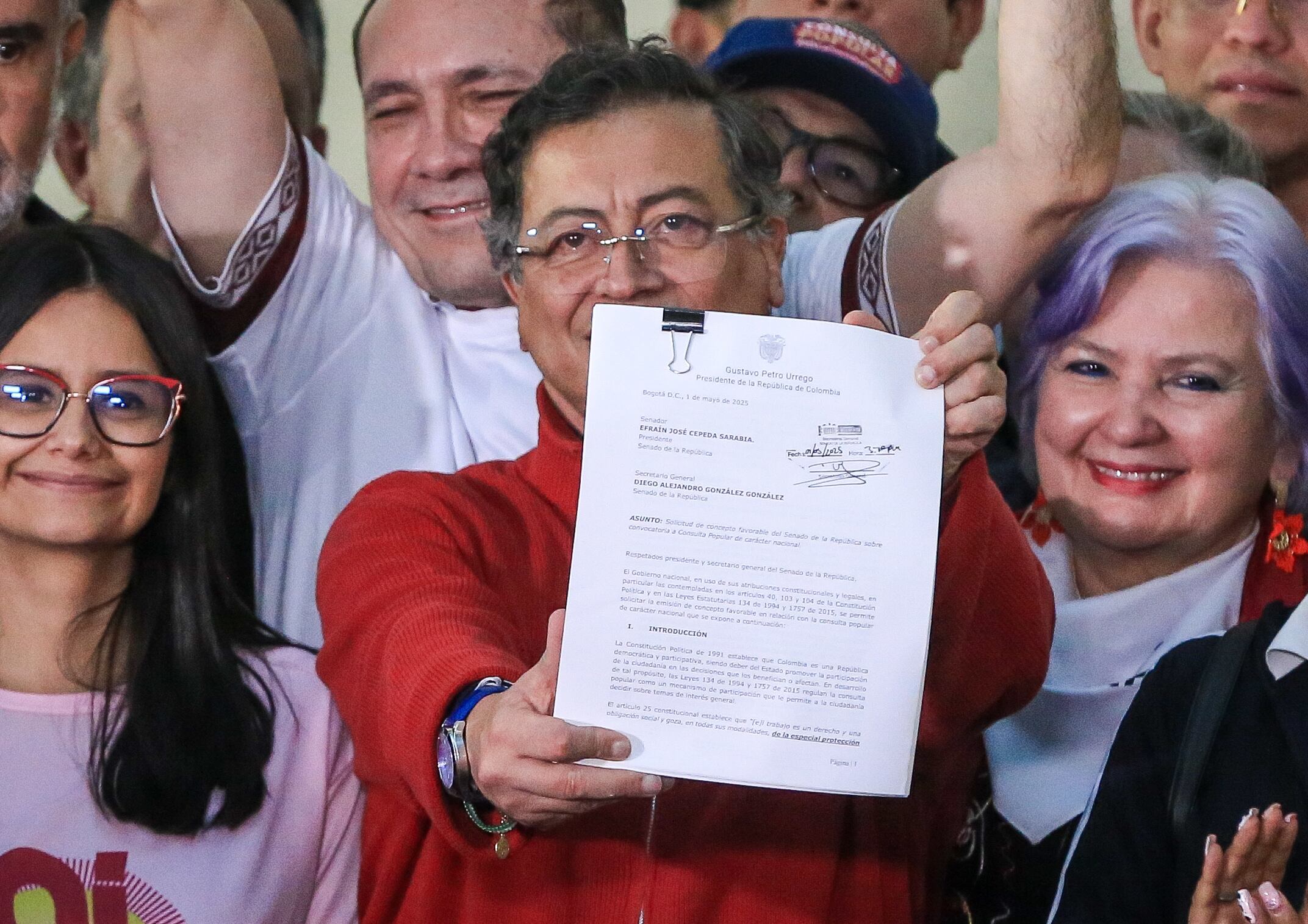 Radicación consulta