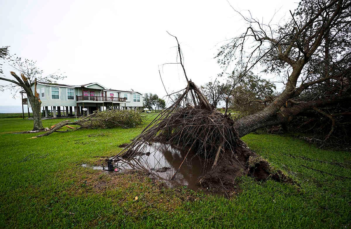 Un árbol es arrancado de raíz tras el huracán Laura el jueves 27 de agosto de 2020 en Sabine Pass, Texas. Foto: Eric Gay / AP  