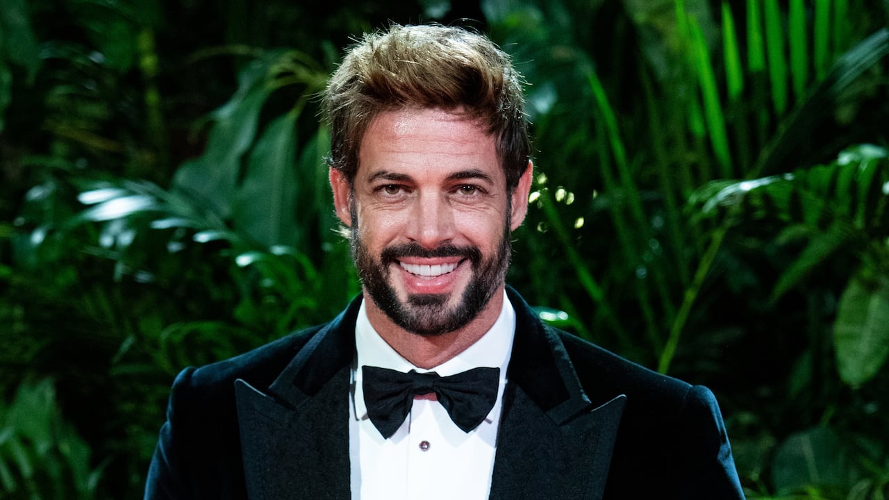 Actor William Levy.