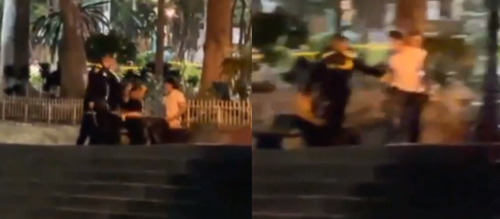 La Policía intervino e impidió que la pareja siguiera con el bochornoso acto.