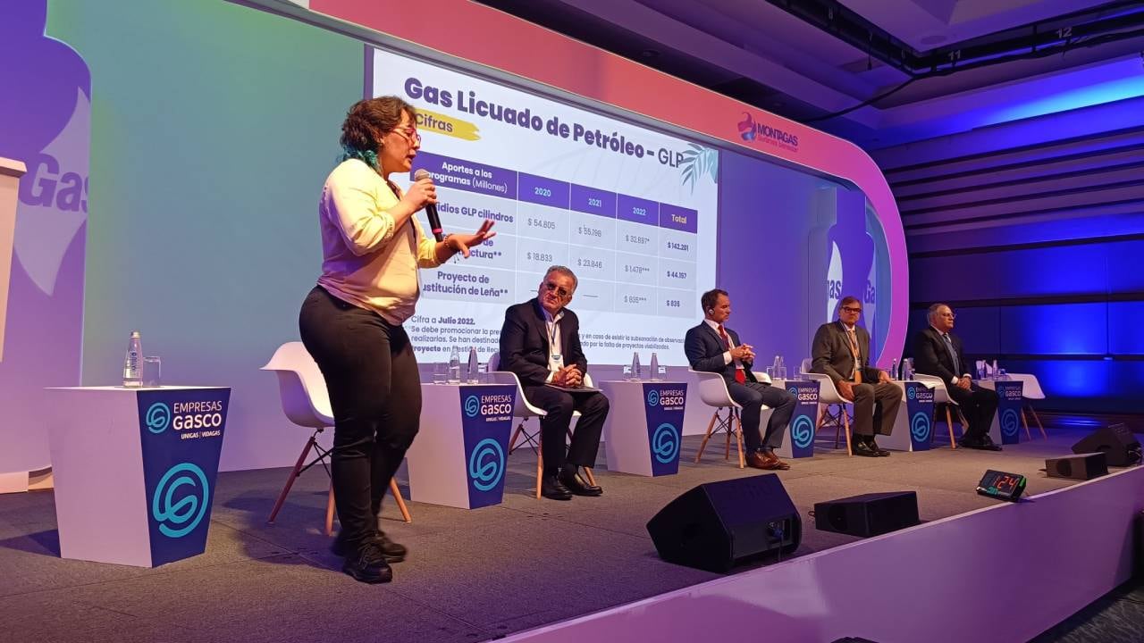 En los últimos tres años se han entregado $142.201 millones en subsidios para los cilindros de GLP