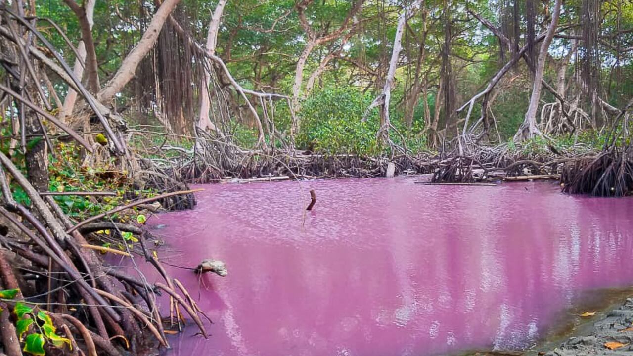 Río rosa del corregimiento de Uveros, en el Urabá antioqueño.
