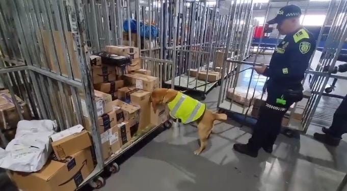 Un canino antinarcóticos fue el encargado de alertar de la droga