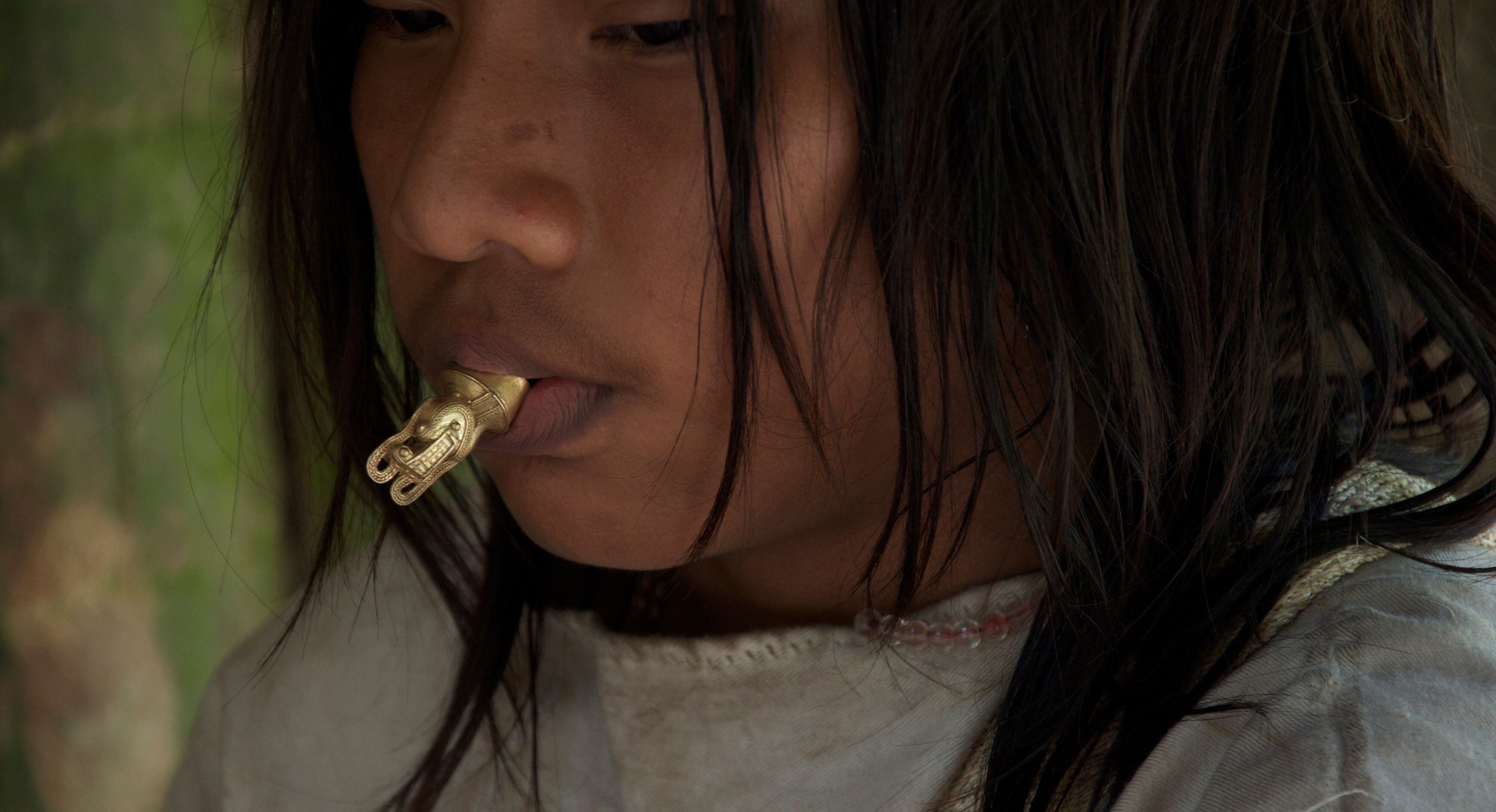 Restitución de Miguel Ángel Rojas. Hace parte de la exposición del MAMBO Regreso a la Maloca. Cortesía del museo.