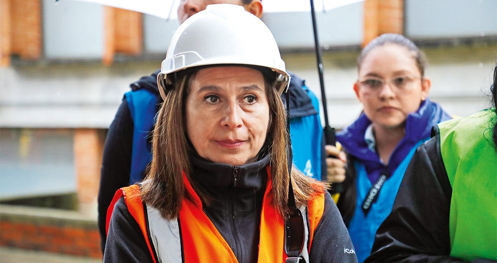 Carolina barbanti Directora (e) de la ANI