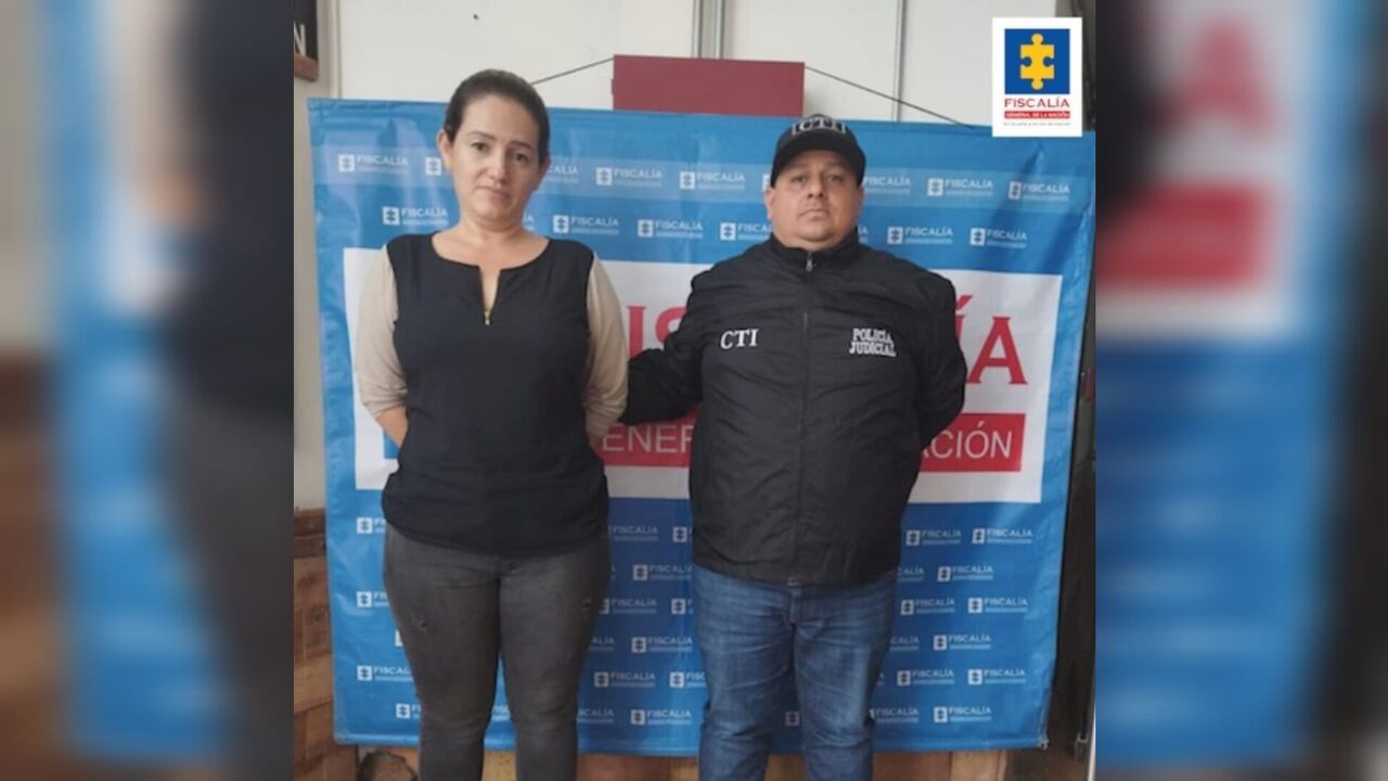 Durante las audiencias concentradas, la mujer se allanó a los cargos imputados por la Fiscalía.