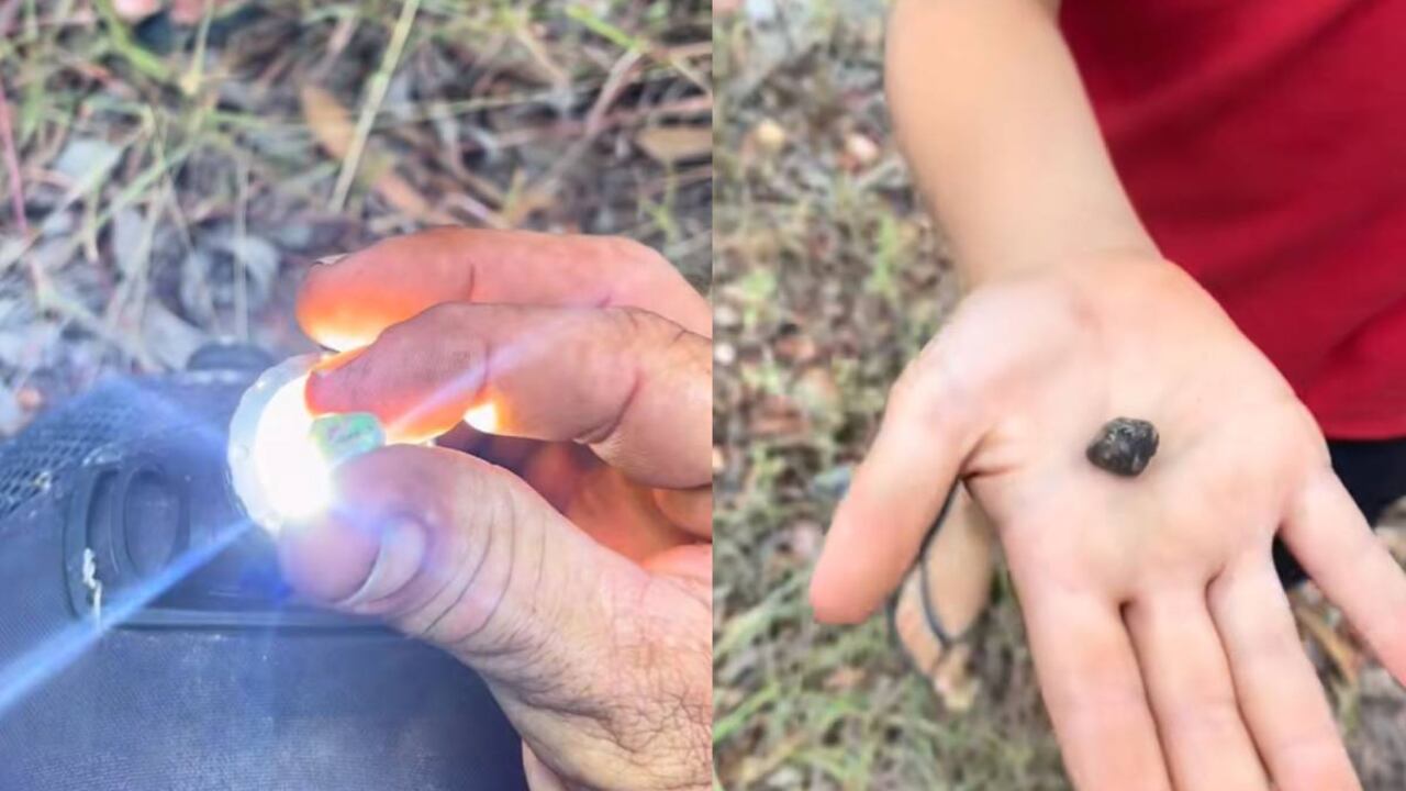 La familia verificó el valor de la piedra