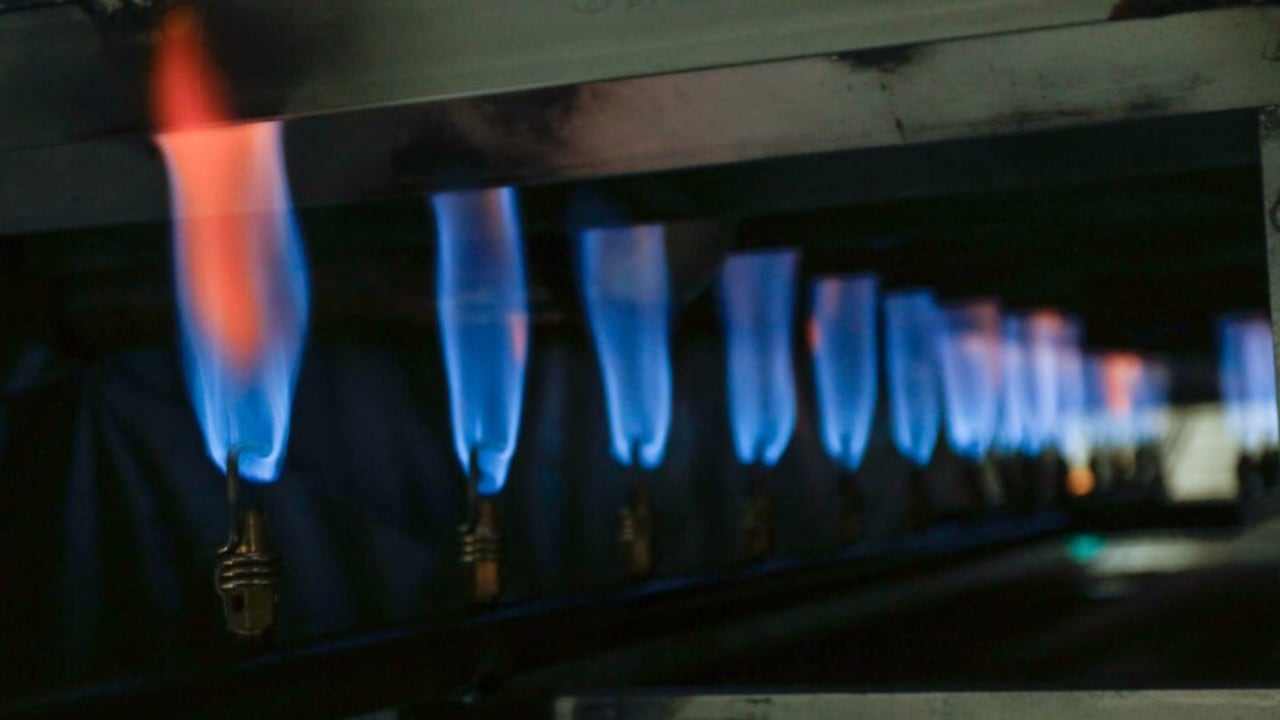 La medida se da en el marco del Estado de Emergencia.