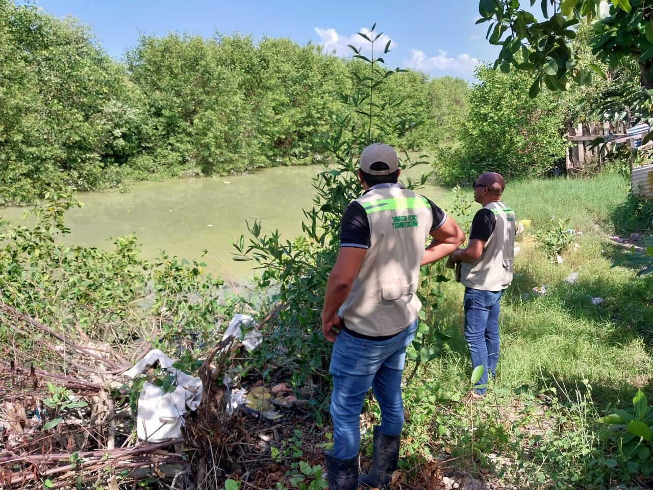 Caño El Limón en Cartagena