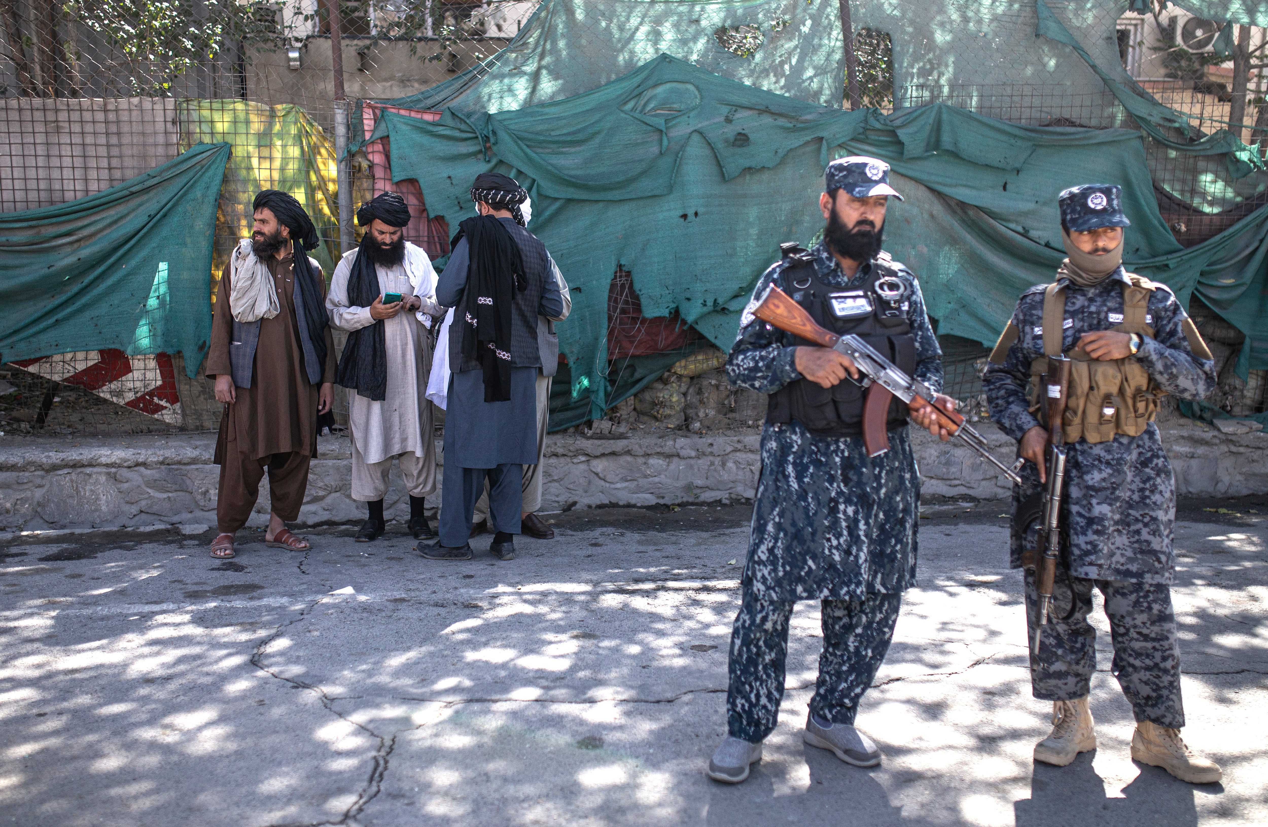 (AP Photo/Ahmad Halabisaz)