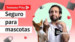 Seguros para mascotas| Tian Rodríguez en Tranquilidad Financiera