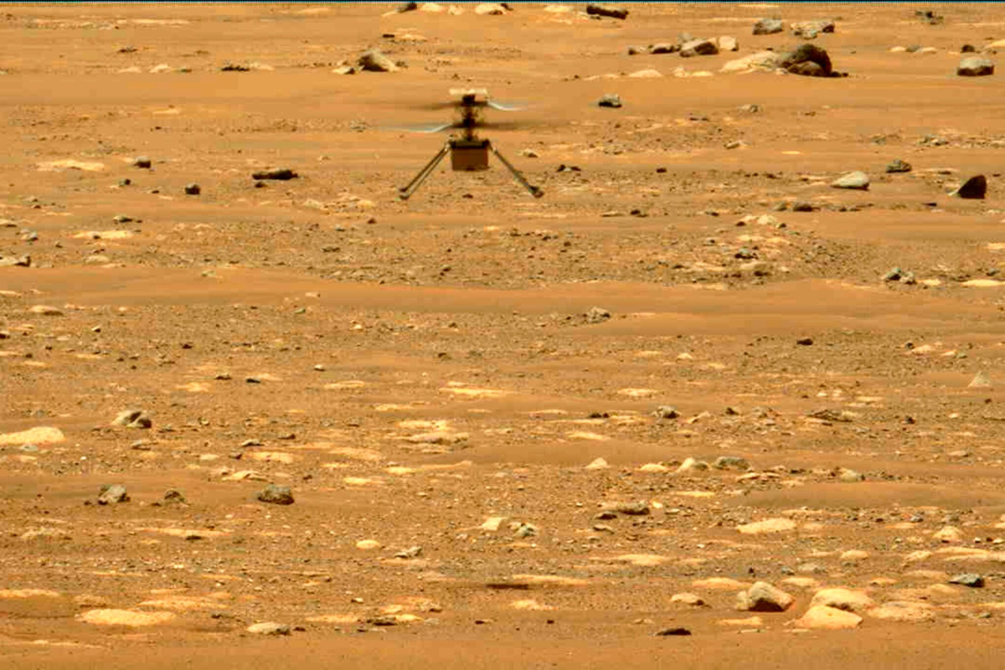 fotos de la semana 23 abril