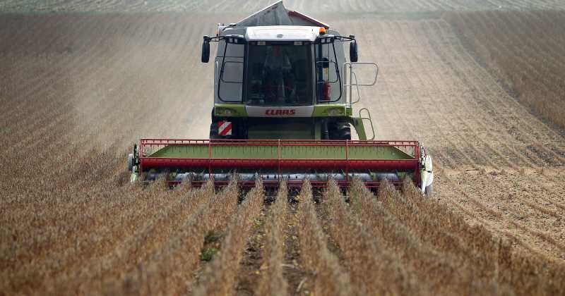 La incorporación de prácticas sostenibles facilita el acceso al crédito y promueve vínculos con mercados sostenibles, especialmente para los pequeños productores.