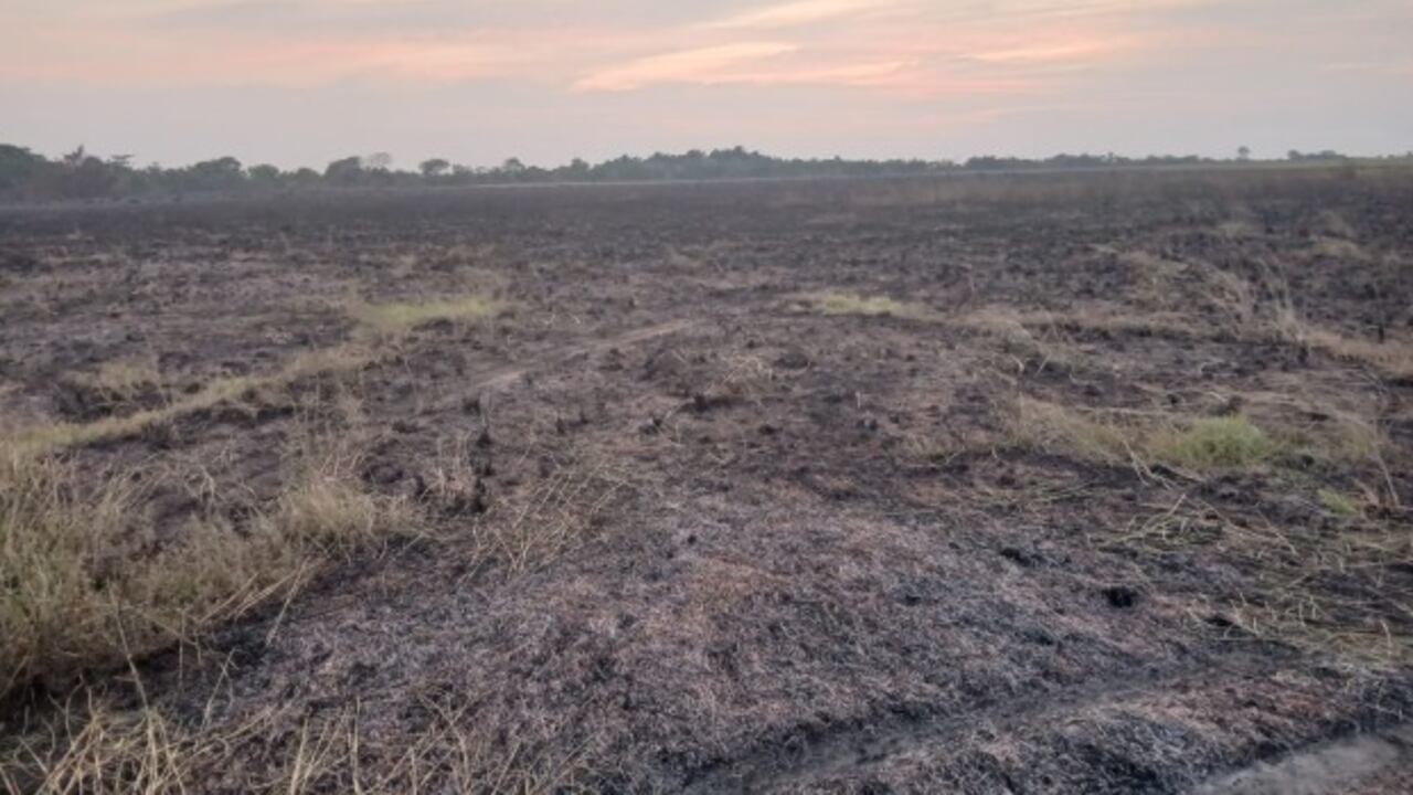 Así quedó la zona tras el incendio que habría sido provocado.