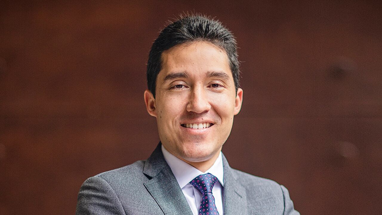 luis fernando mejía Director ejecutivo de Fedesarrollo