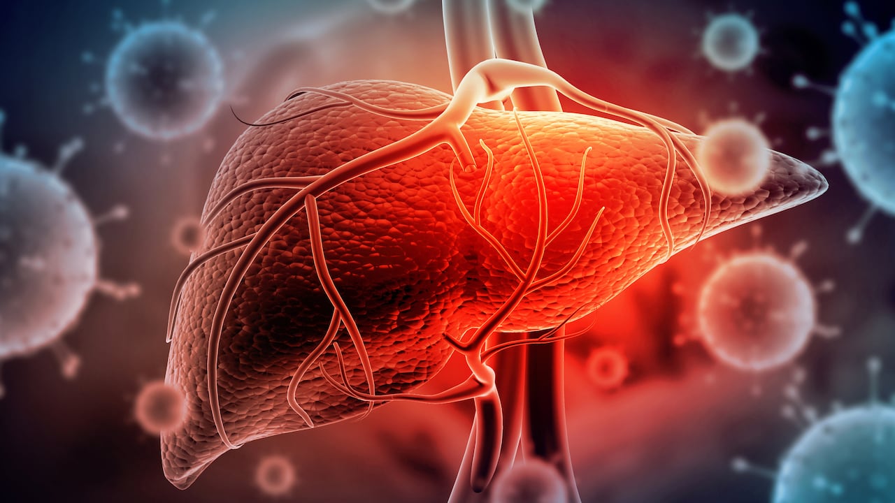 Hepatitis - Imagen para ilustrar el hígado