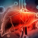 Hepatitis - Imagen para ilustrar el hígado