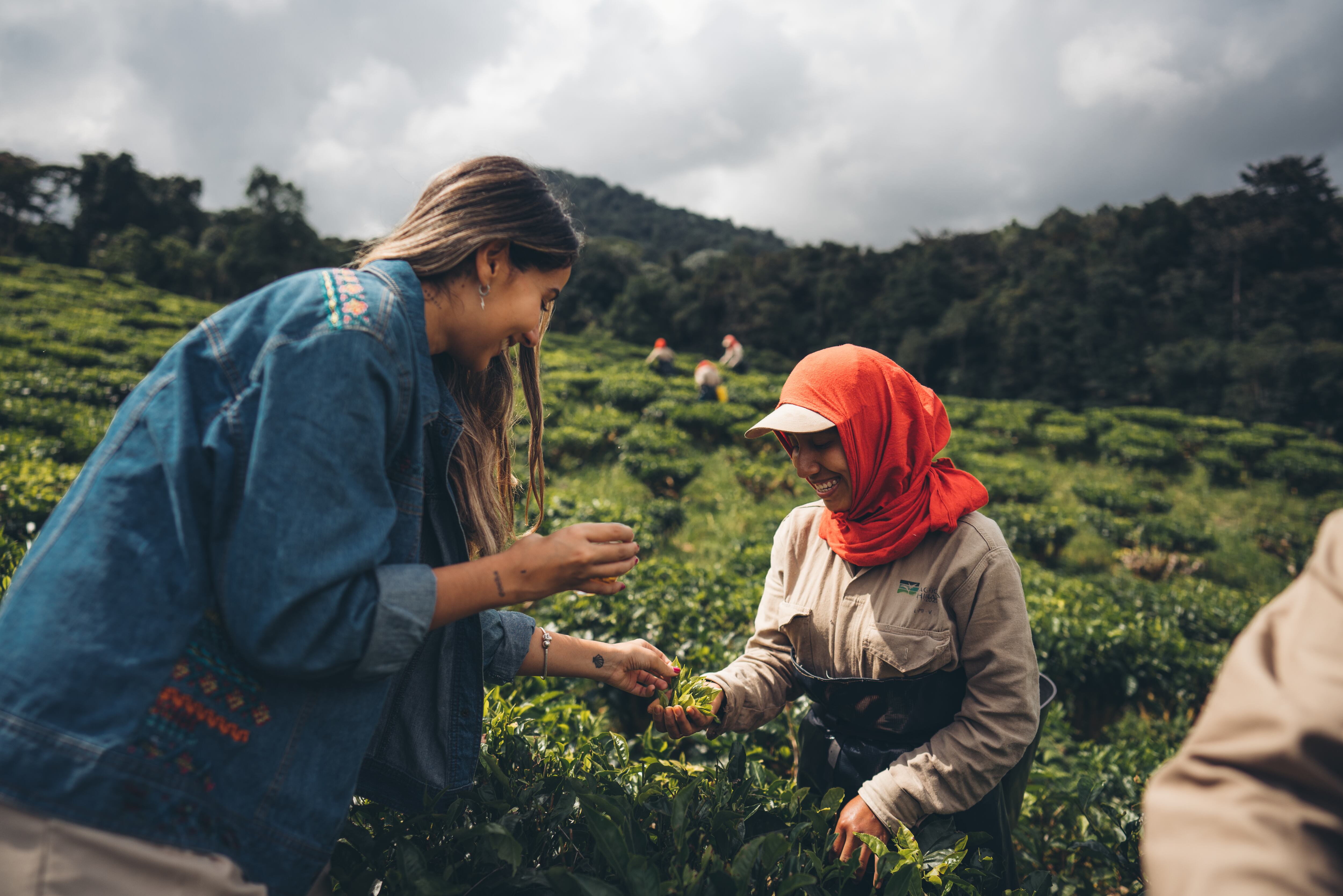 El Valle del Cauca está abriendo sus puertas al turismo industrial.