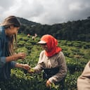 El Valle del Cauca está abriendo sus puertas al turismo industrial.